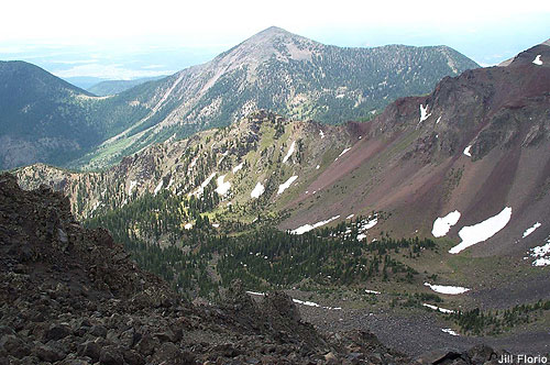 Inner Basin 2, San Francisco Peaks, AZ by Jill Florio