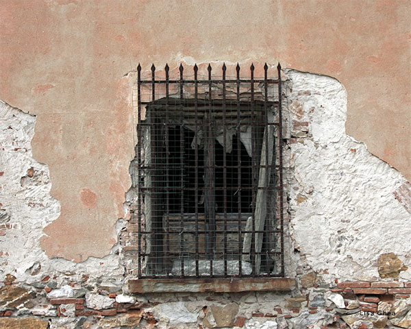 Pisa, Italy Window by Lisa Shea